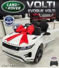 LAND ROVER EVOQUE POTENCIA 90 WATIOS 2X2